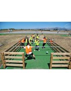 تفریحات مجموعه